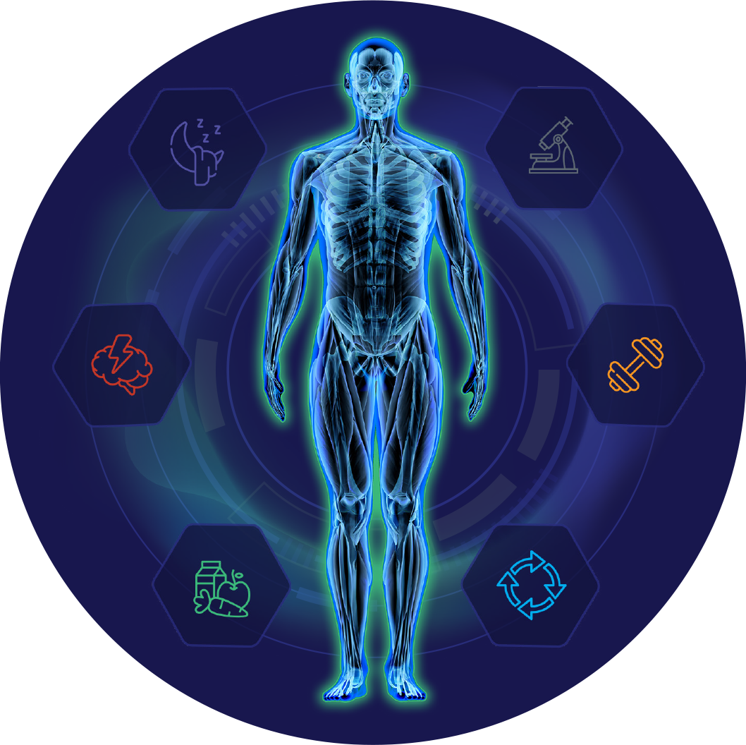 ARÉTĒ Body Overview